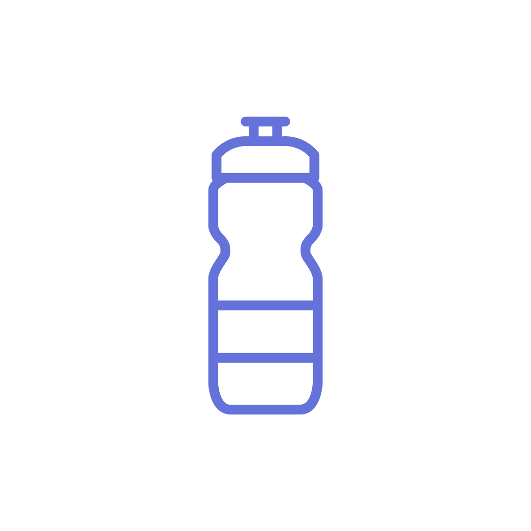 Energy Drink (250 ml)